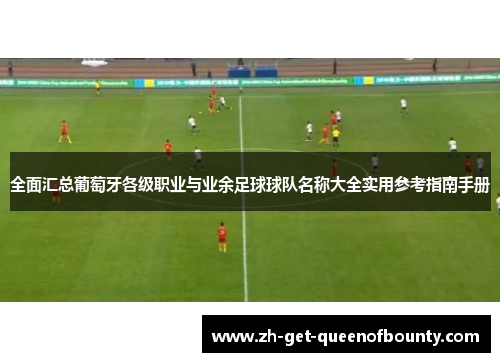 全面汇总葡萄牙各级职业与业余足球球队名称大全实用参考指南手册